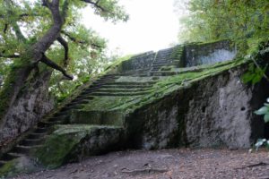 The Mystery of the Etruscan Pyramids: Signature of a Lost White Culture
